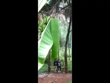 Gadis Cantik Pasrah Goyang Kasur Kebun